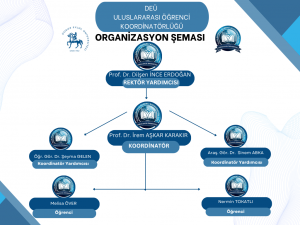 organizasyon şeması